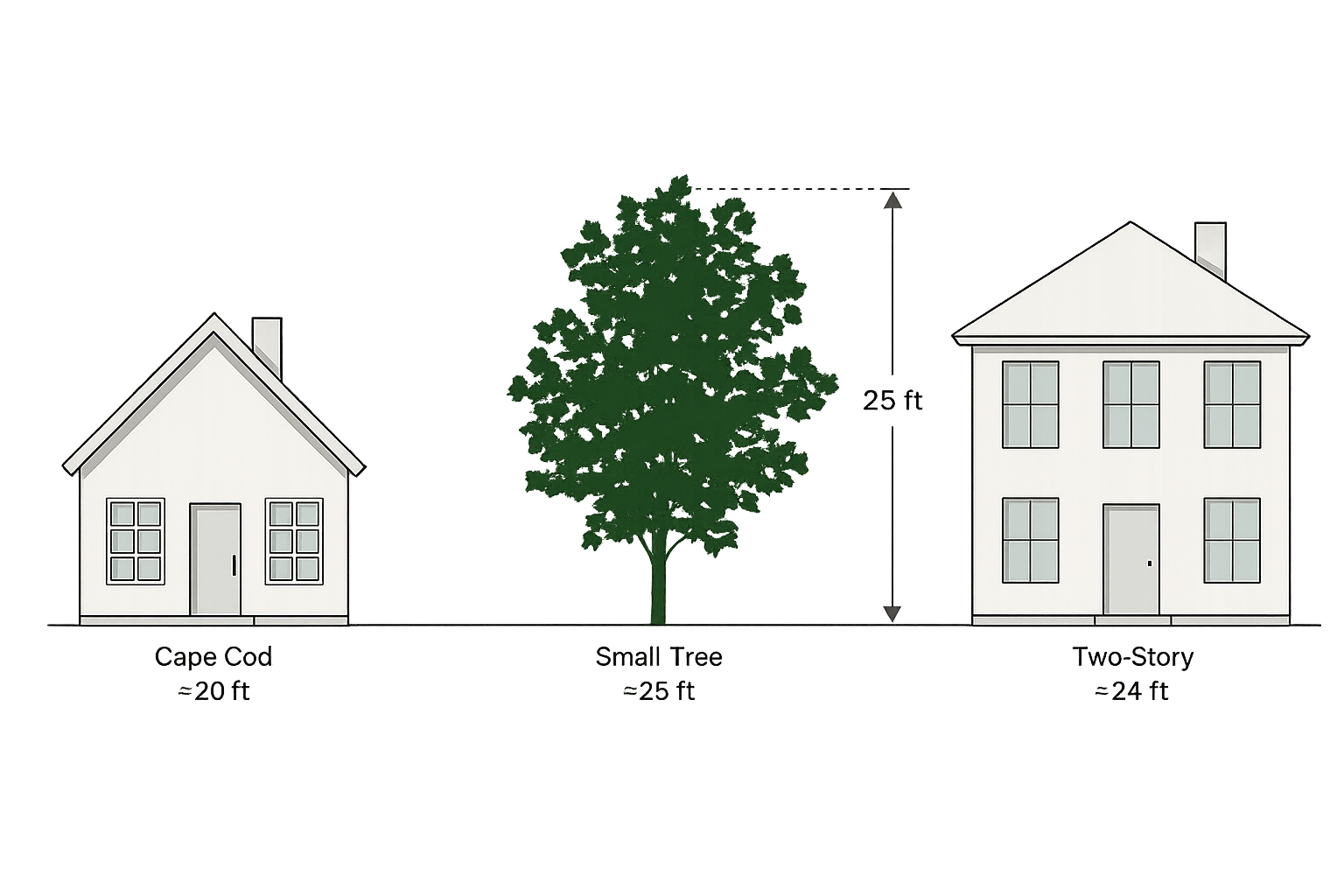 Size chart comparing a small tree (~25 ft) to a Cape Cod house and a two-story home in Louisville